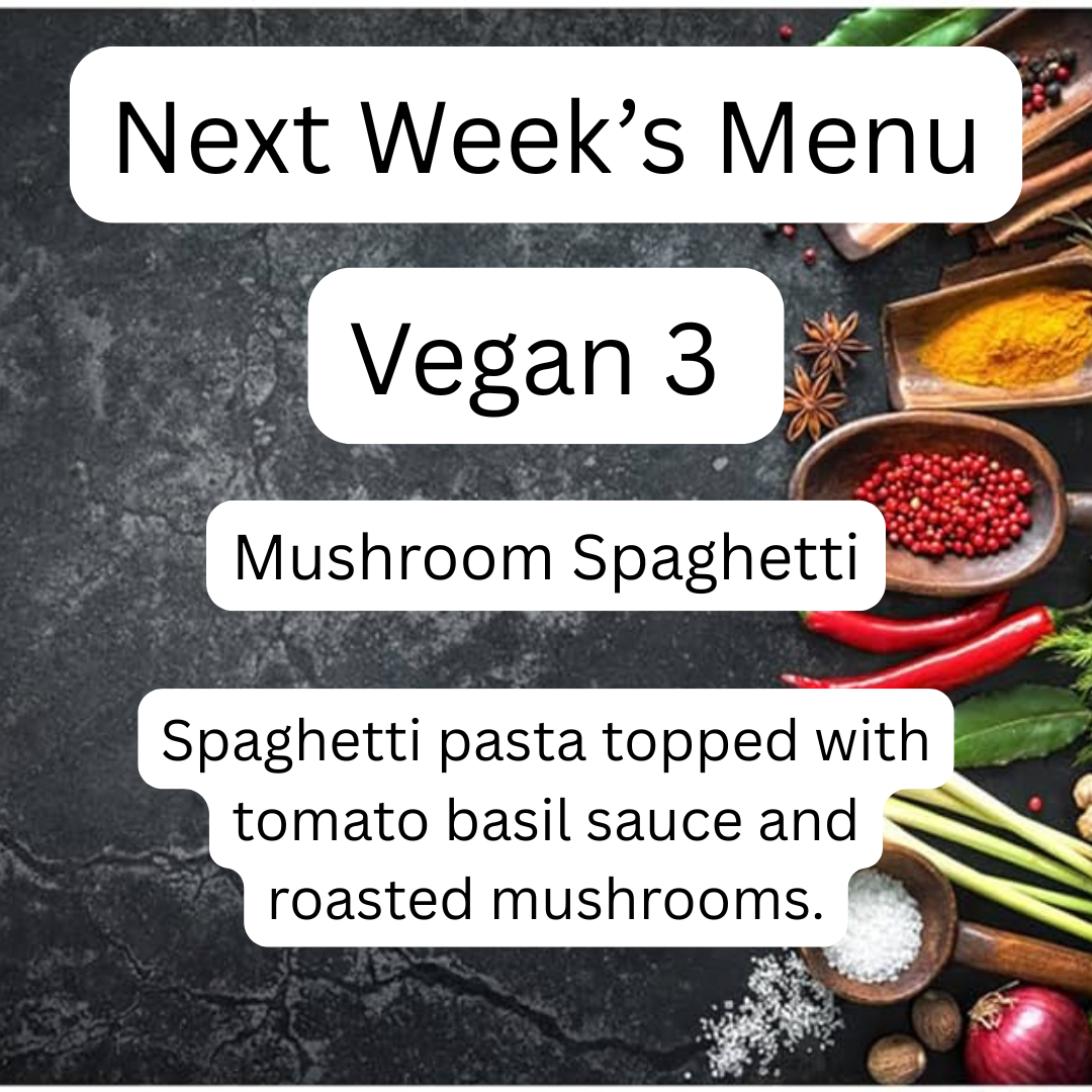 VEGAN MEAL 3 10/27/25