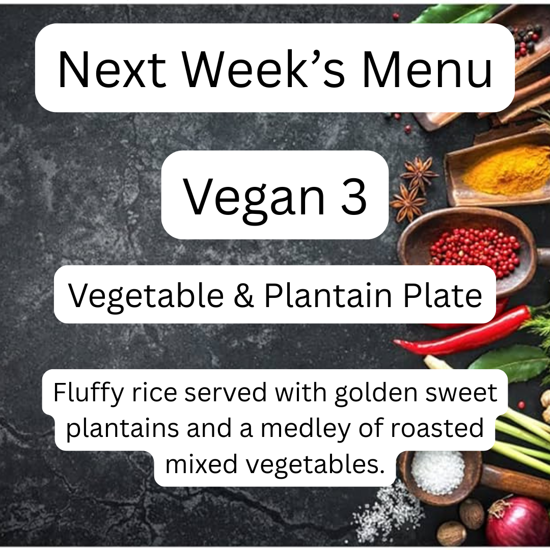 VEGAN MEAL 3 09/29/25