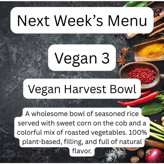 VEGAN MEAL 3 06/09/25