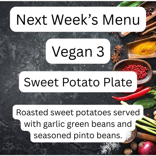 VEGAN MEAL 3 07/21/25