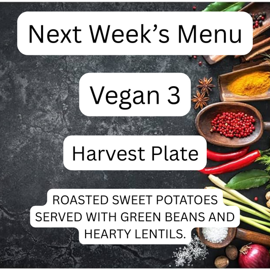 VEGAN MEAL 3 08/04/25