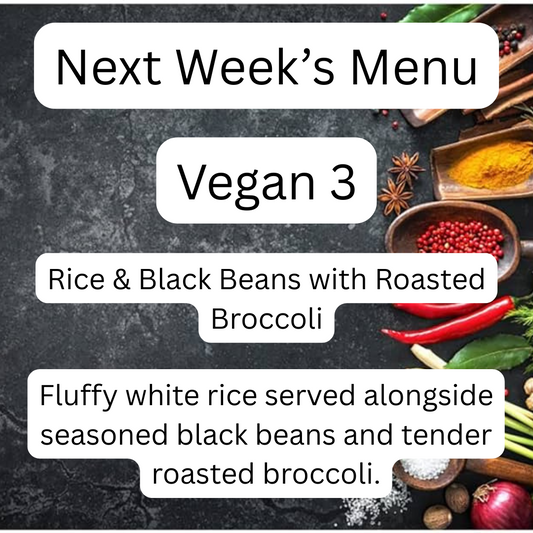 VEGAN MEAL 3 08/25/25