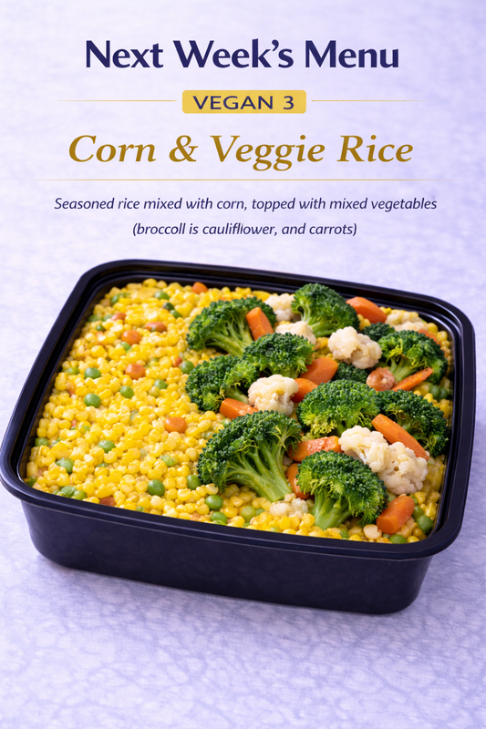 VEGAN MEAL 3 04/06/26