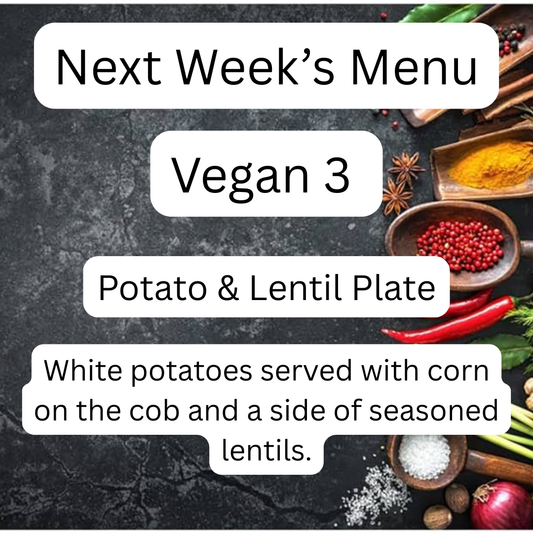 VEGAN MEAL 3 11/10/25