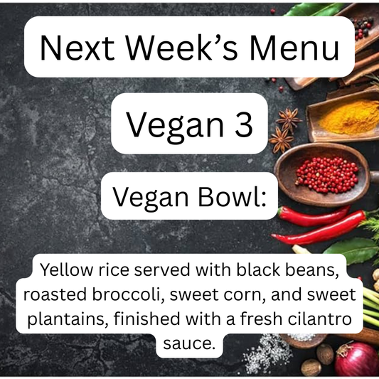 VEGAN MEAL 3 12/22/25