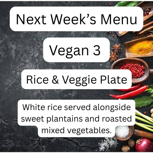 VEGAN MEAL 3 12/01/25