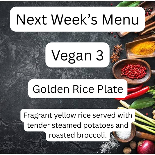 VEGAN MEAL 3 09/15/25