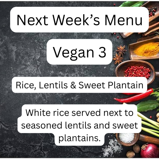 VEGAN MEAL 3 10/20/25