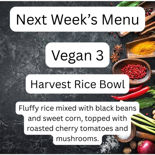 VEGAN MEAL 3 09/22/25