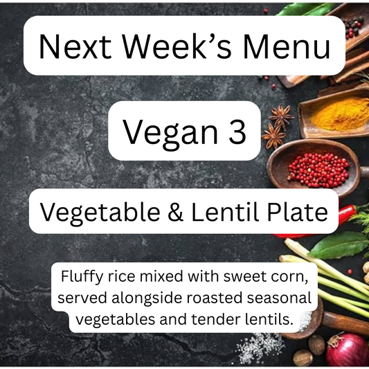 VEGAN MEAL 3 09/08/25
