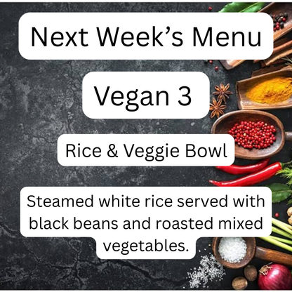 VEGAN MEAL 3 11/17/25