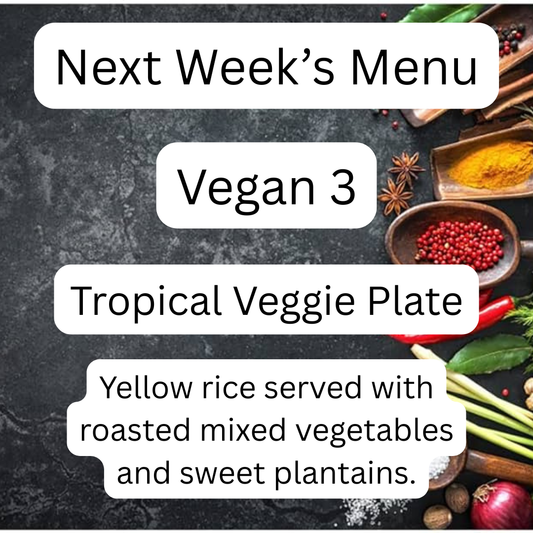 VEGAN MEAL 3 10/13/25