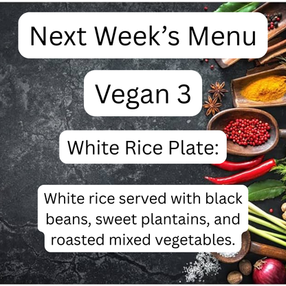 VEGAN MEAL 3 12/08/25